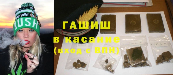 индика Бикин