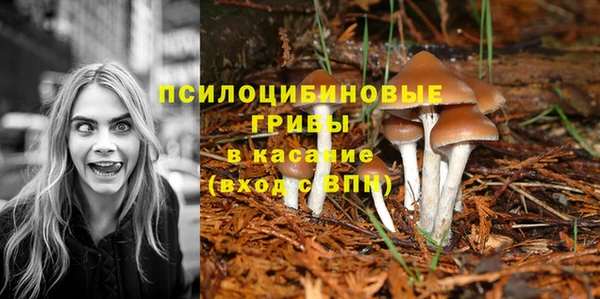 бутират Болхов