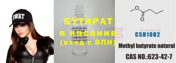 индика Бикин