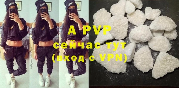 индика Бикин