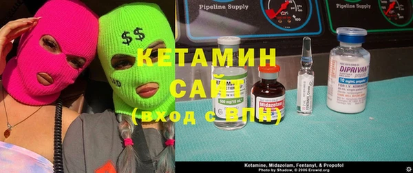 индика Бикин