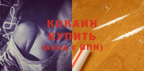 индика Бикин