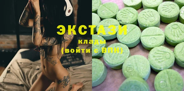 индика Бикин