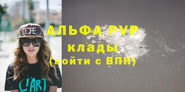 индика Бикин