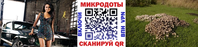 Галлюциногенные грибы прущие грибы  магазин продажи наркотиков  Зима 