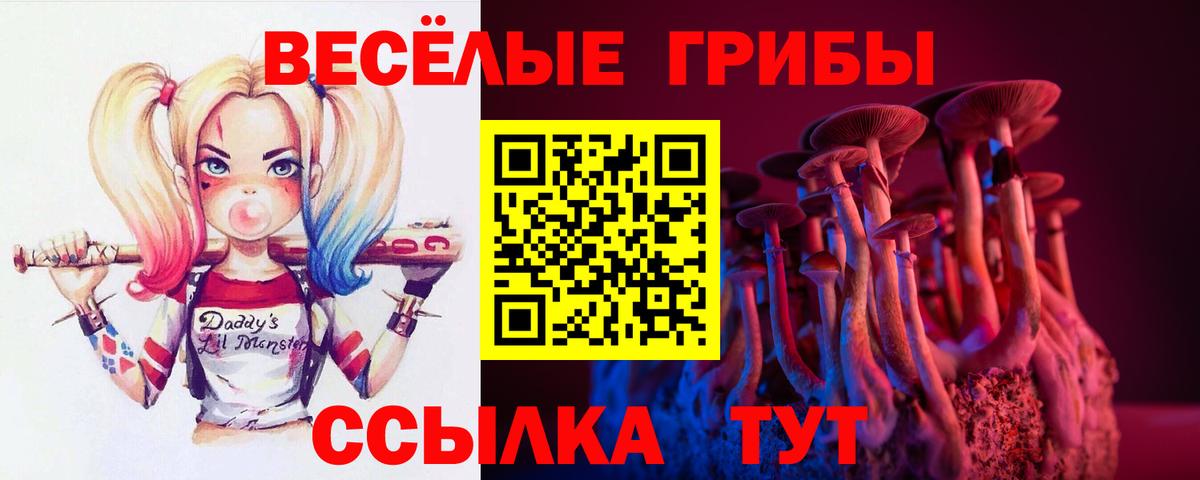 Галлюциногенные грибы GOLDEN TEACHER  Вход с VPN  Зима 
